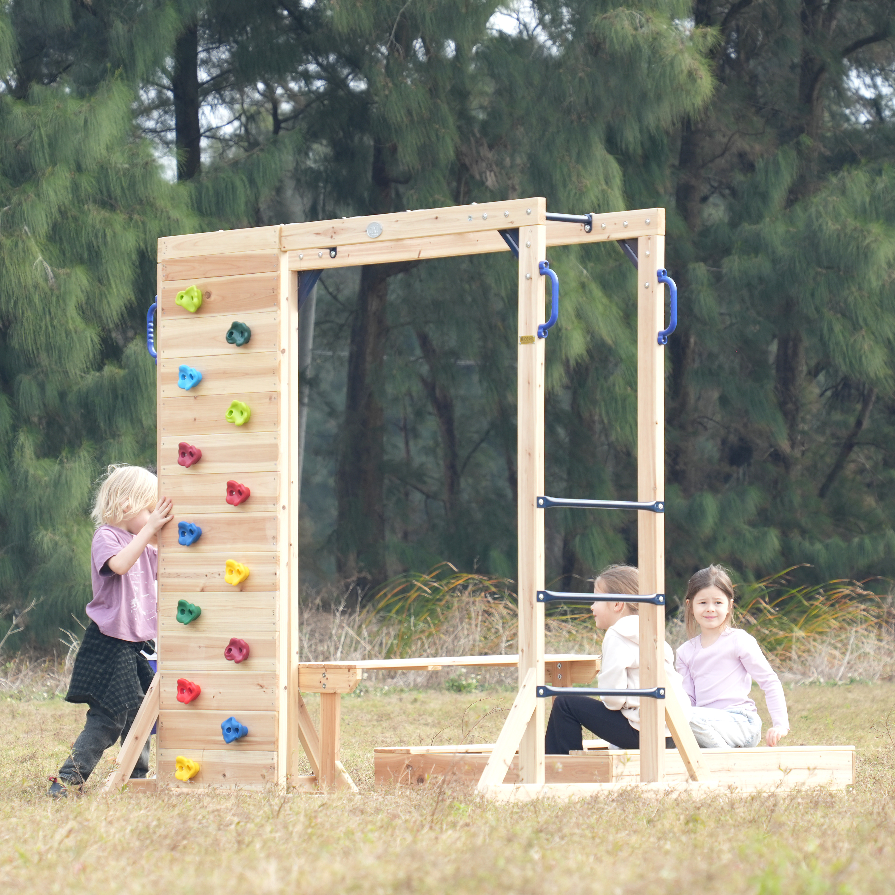 AXI Dex Climbing Frame with Sandbox, Monkey Bars and Picnic Table