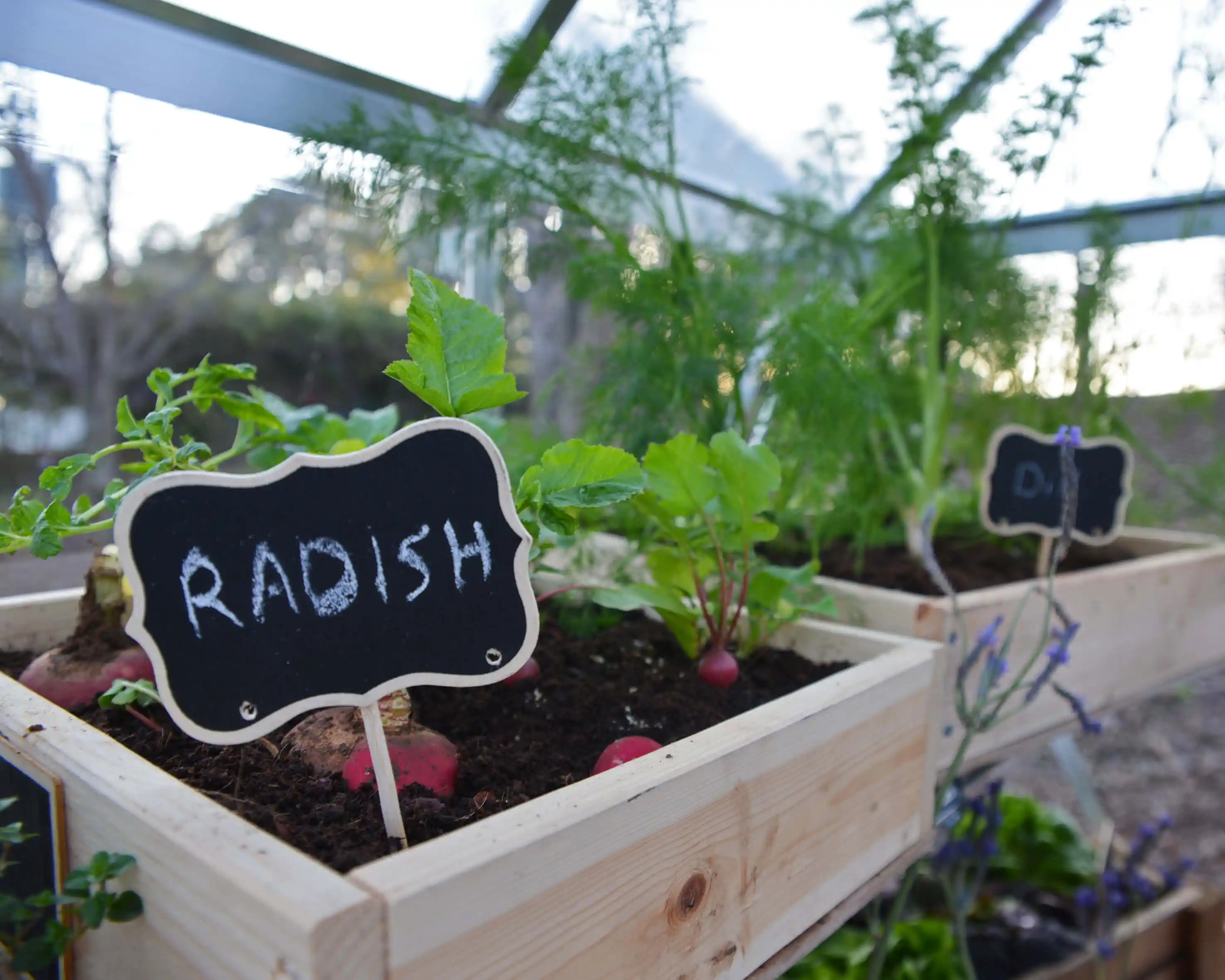 Canopia Hybrid 126X185X208 cm Tuinkas Zilver