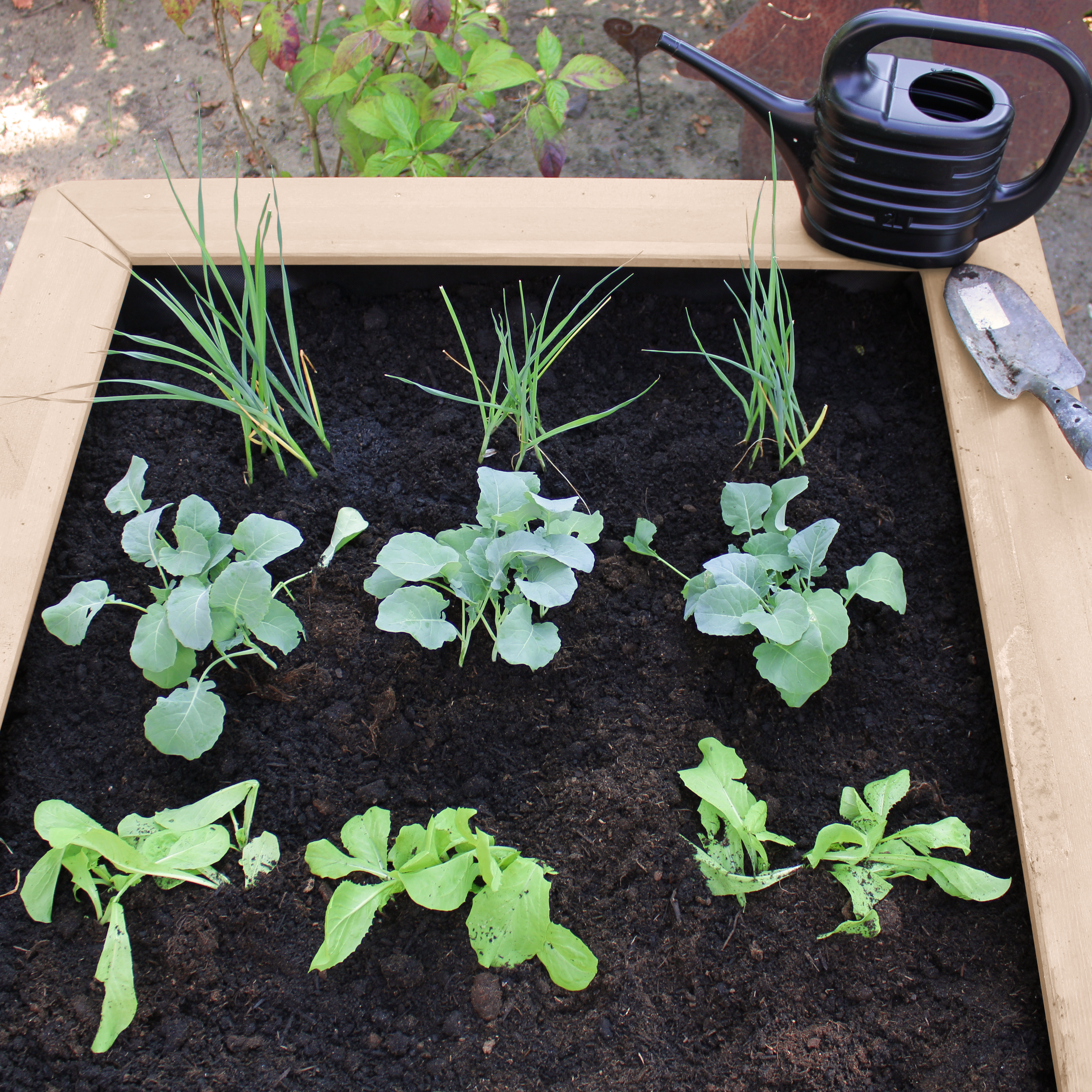 AXI Linda Sand & Gardening Table - Brown/White
