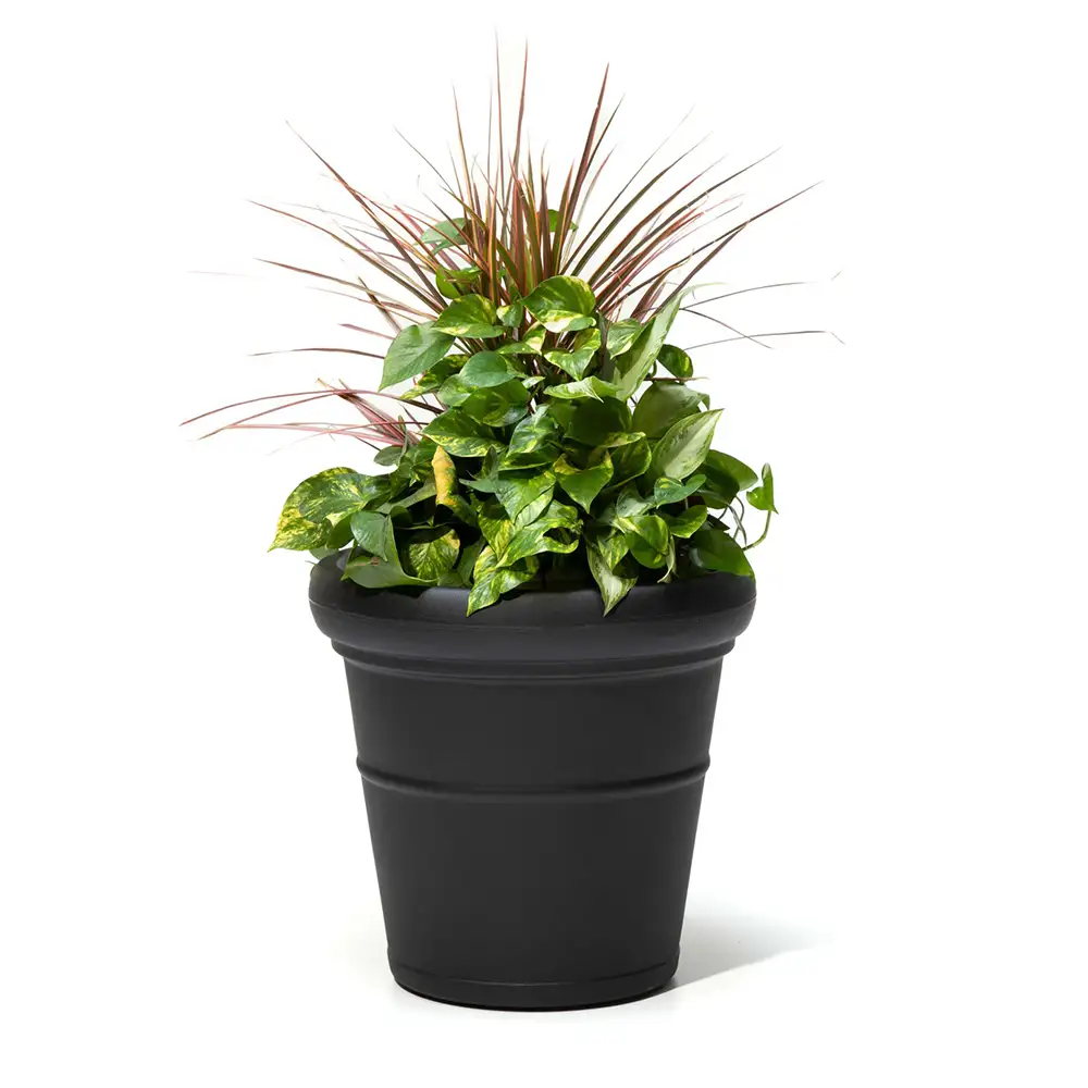 Step2 Claremont Bloempot