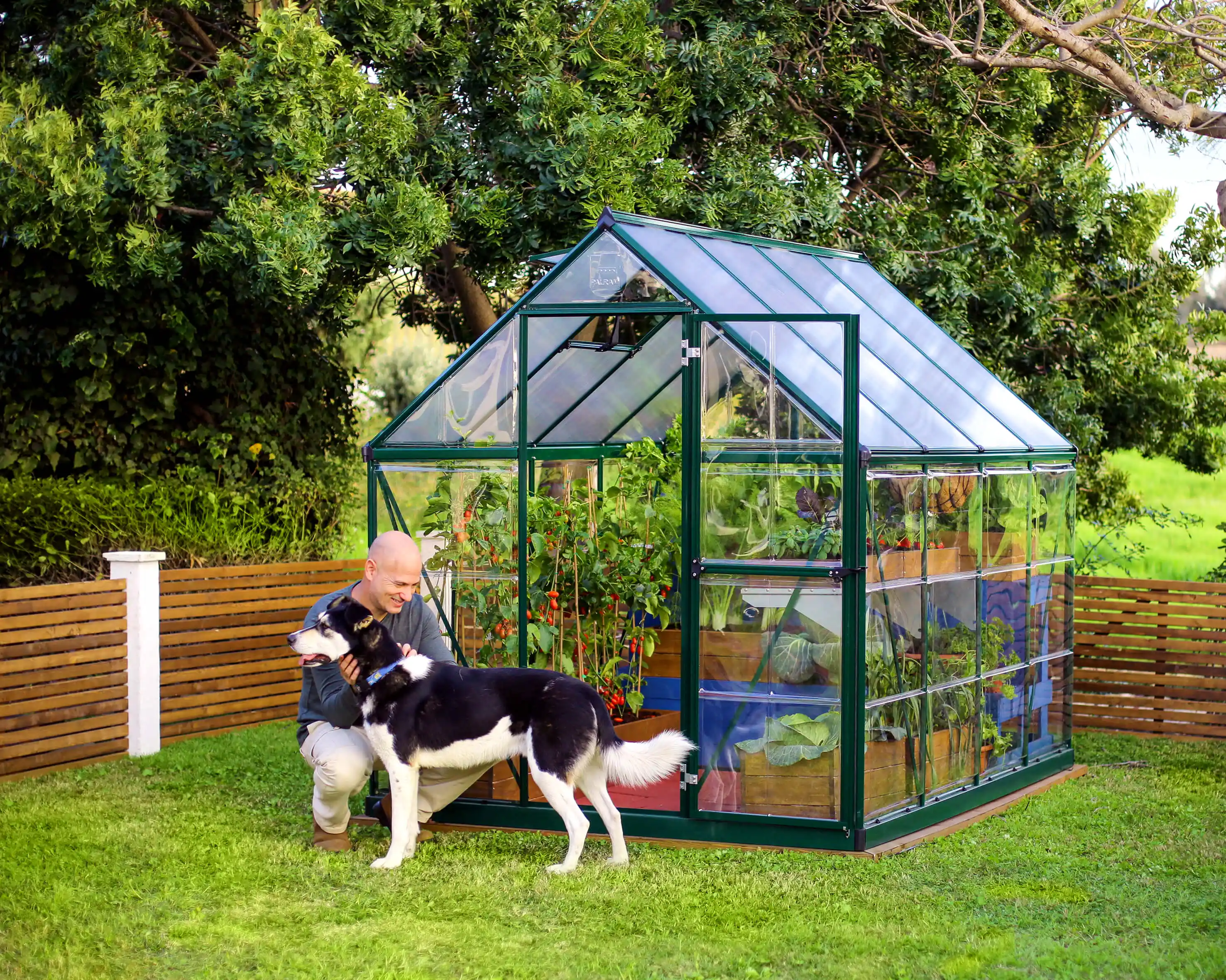 Canopia Hybrid 247X185X208 cm Tuinkas Groen-7290103110680 Canopia Hybrid 247X185X208 cm Tuinkas Groen