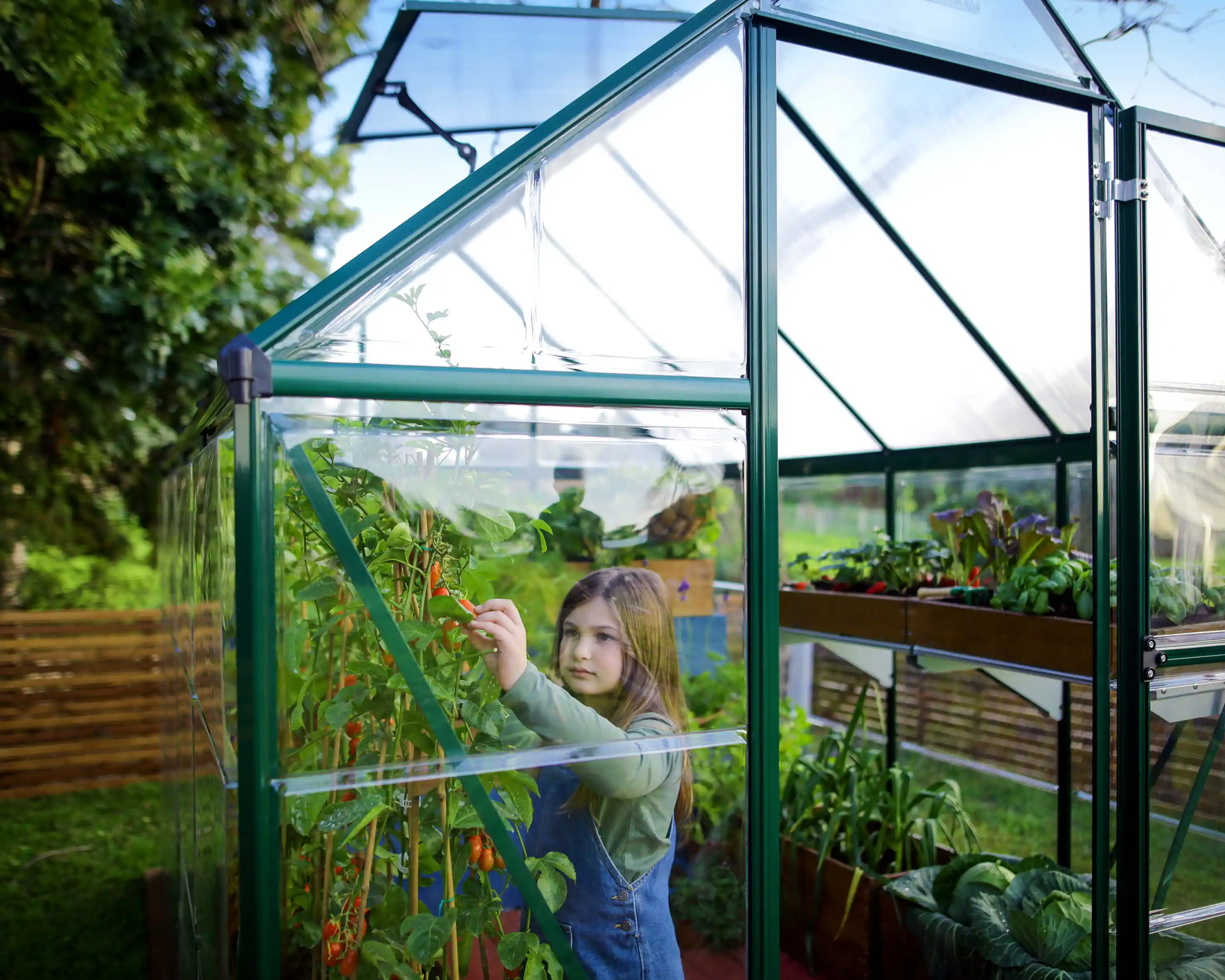 Canopia Hybrid 247X185X208 cm Tuinkas Groen-7290103110680 Canopia Hybrid 247X185X208 cm Tuinkas Groen