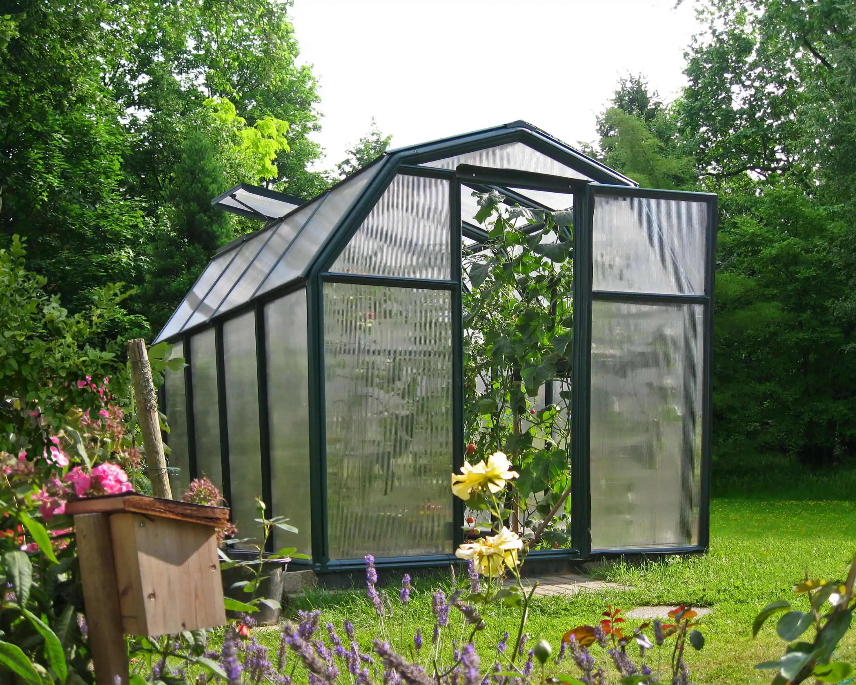 Canopia Eco Grow 259X204X198 cm Tuinkas Groen meerwandig