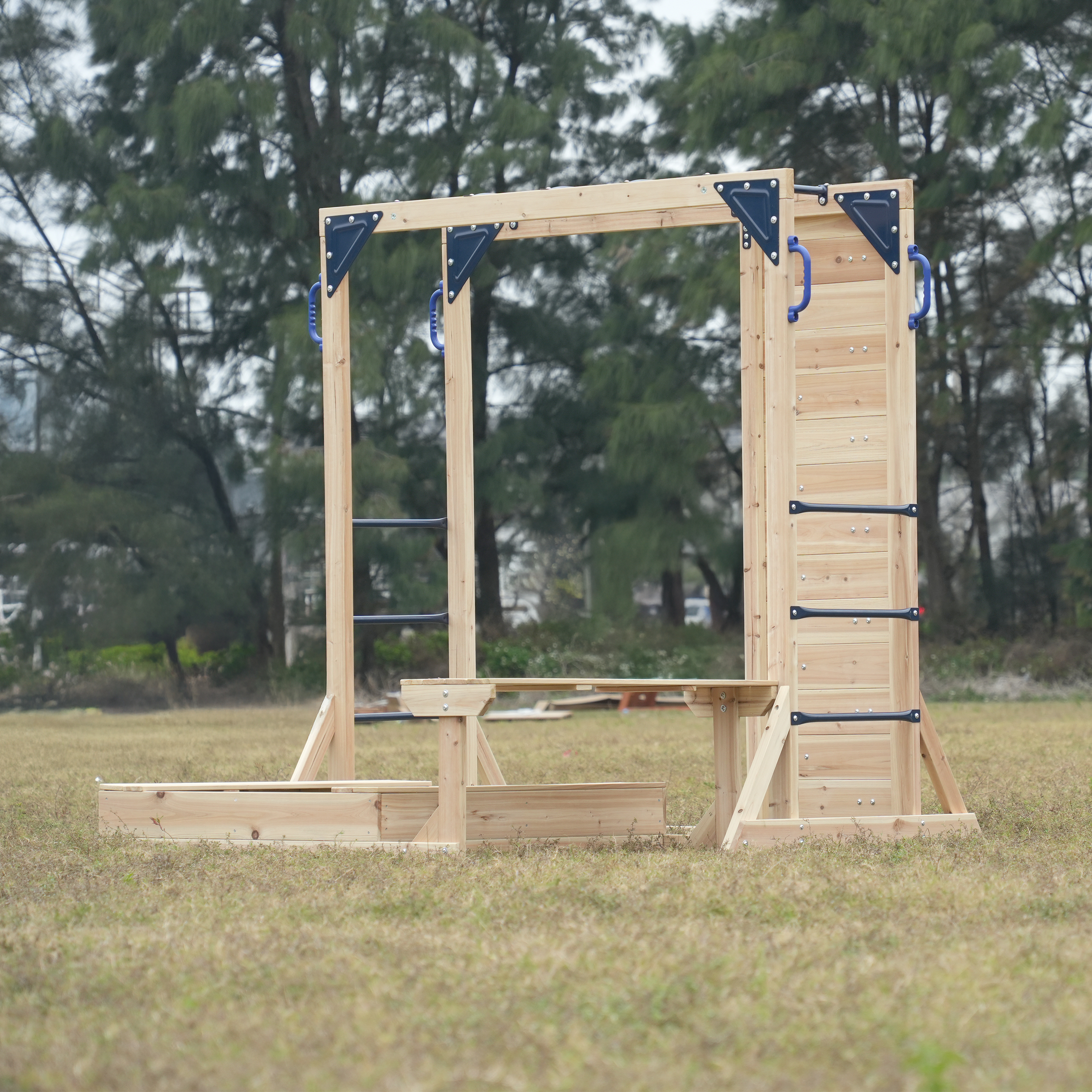 AXI Dex Climbing Frame with Sandbox, Monkey Bars and Picnic Table