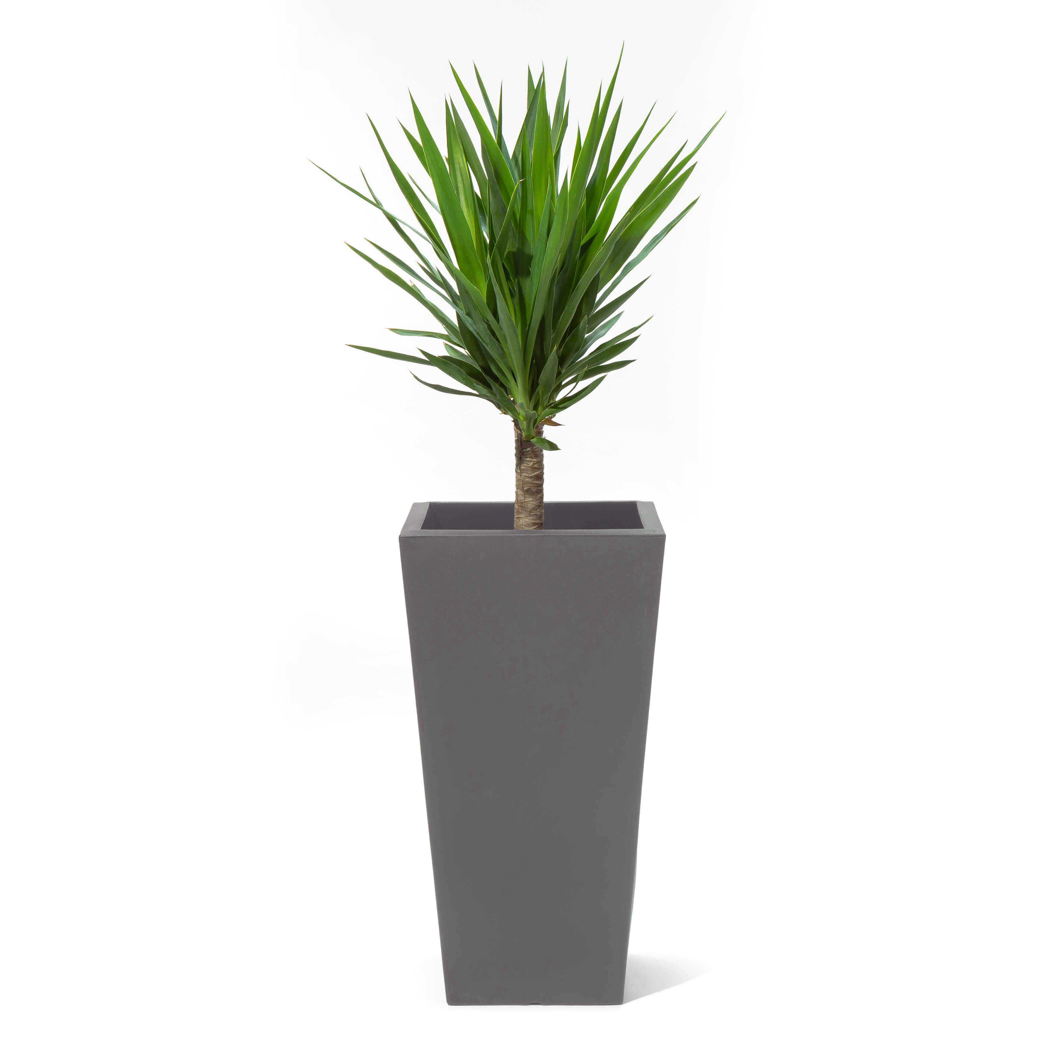Step2 Tremont Vierkant Bloempot Groot - Donker Ceder