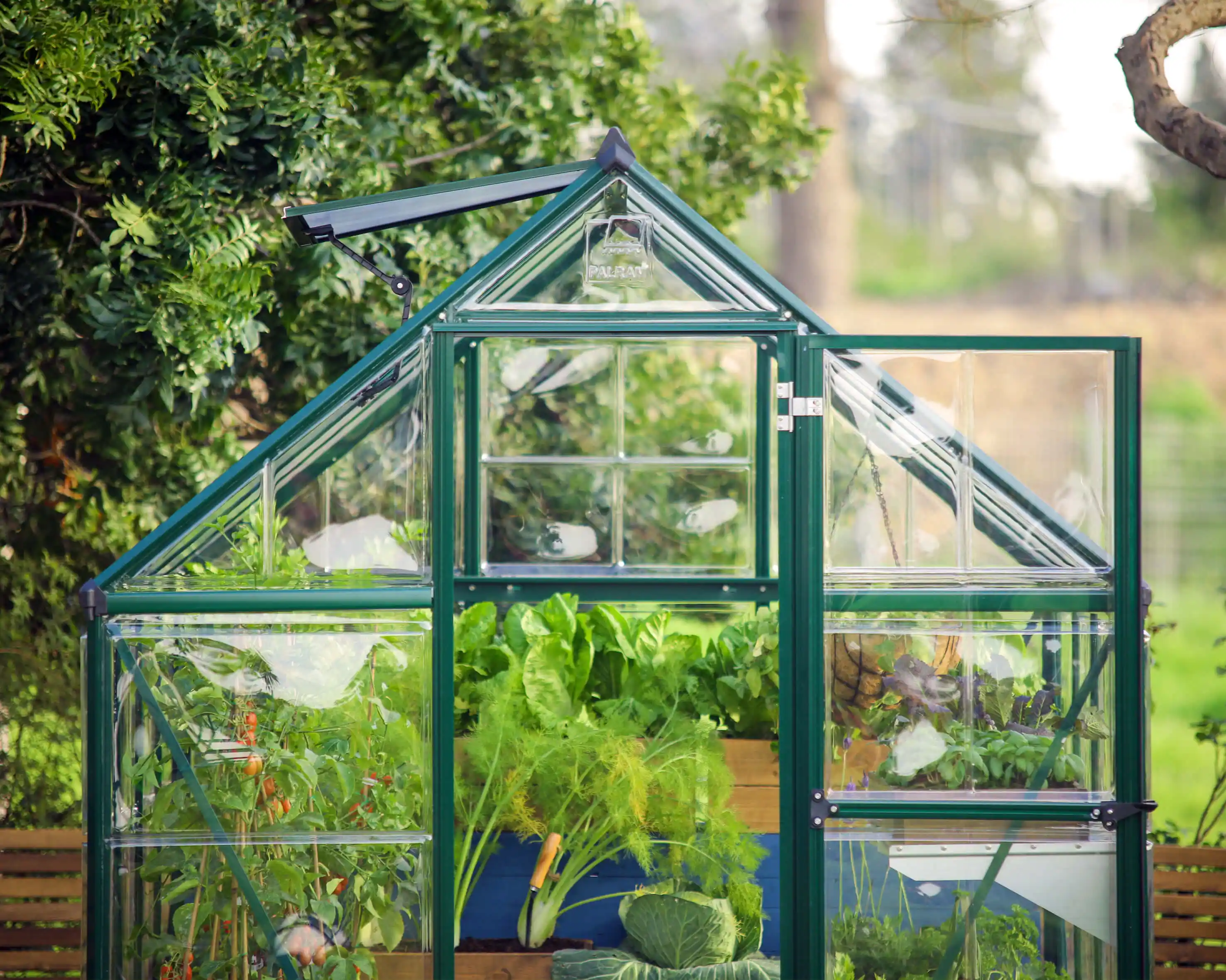 Canopia Hybrid 247X185X208 cm Tuinkas Groen-7290103110680 Canopia Hybrid 247X185X208 cm Tuinkas Groen