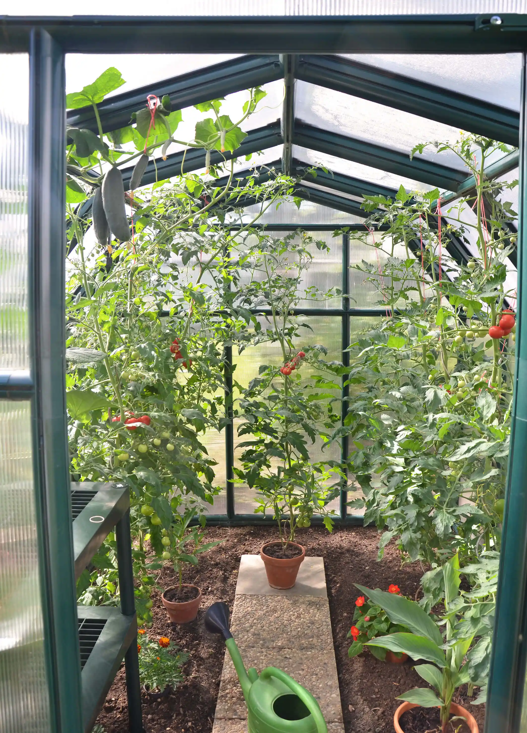 Canopia Eco Grow 259X204X198 cm Tuinkas Groen meerwandig