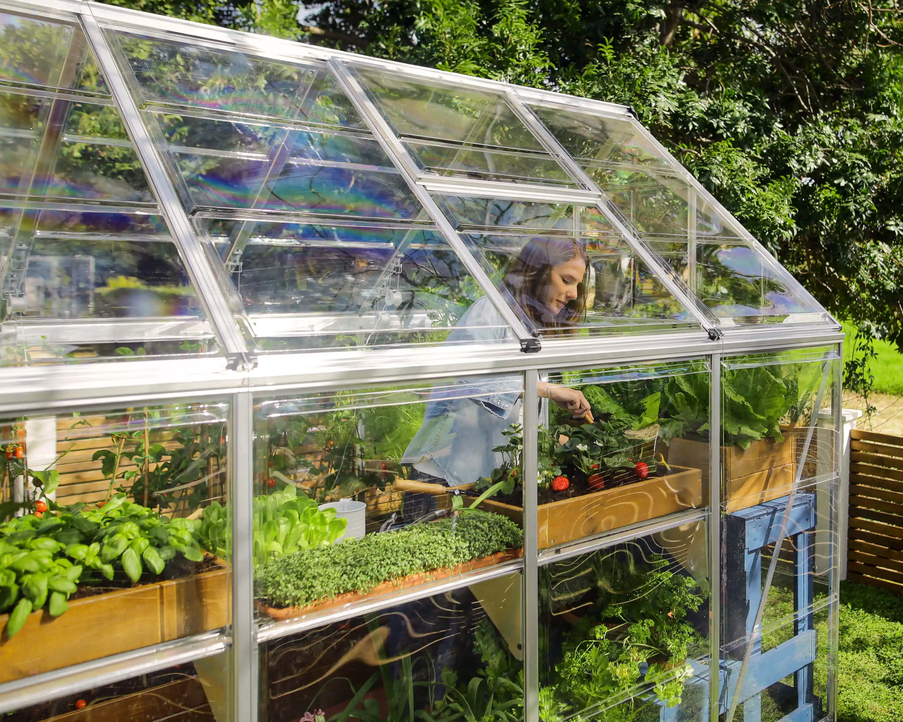 Canopia Hybrid 126X185X208 cm Tuinkas Zilver