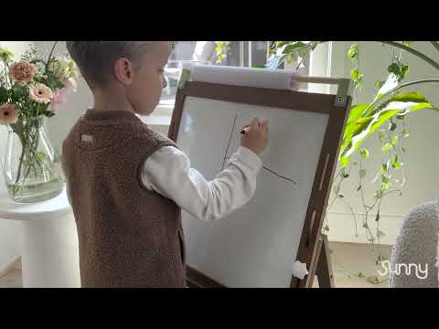 Sunny Lara Activiteiten Ezel Bruin